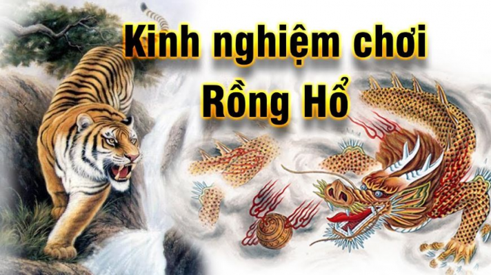 Hướng dẫn chi tiết cách chơi rồng hổ từ A – Z đơn giản nhất